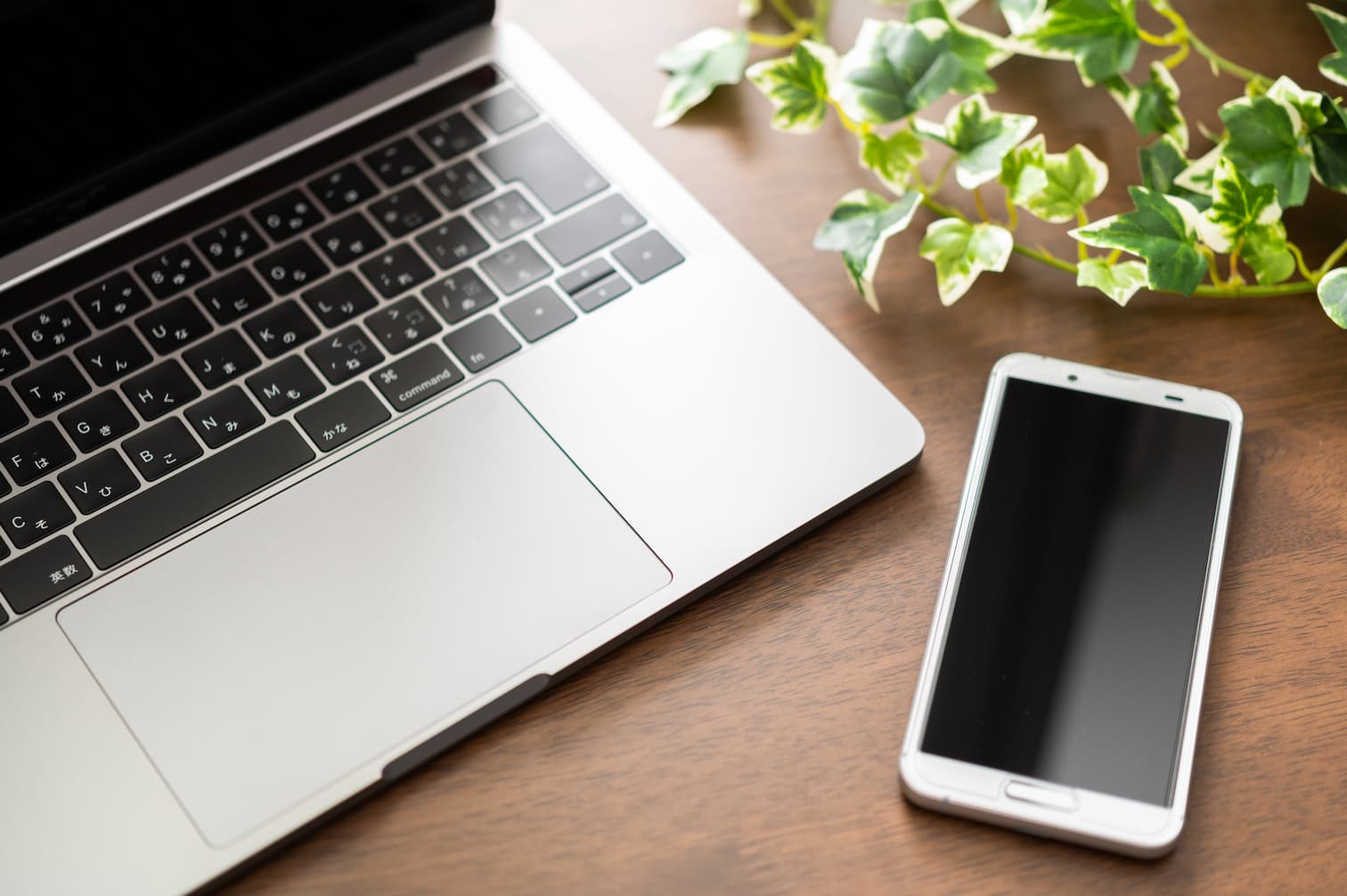 フリーランスはPC1台でスタートOK！在宅可能なおすすめ職種11選と案件獲得方法